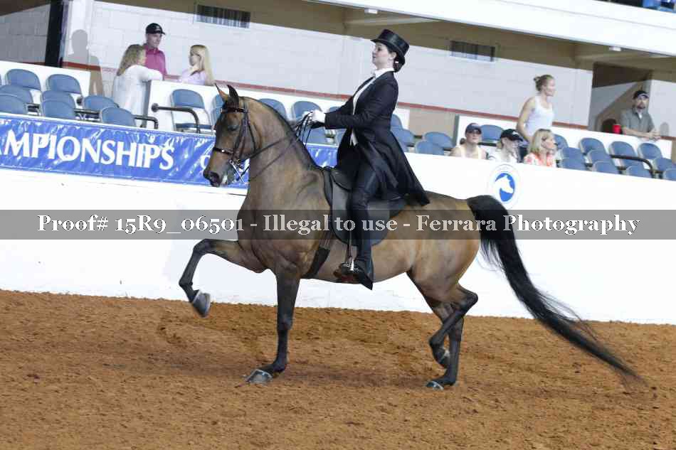 Proof 15R9_06501