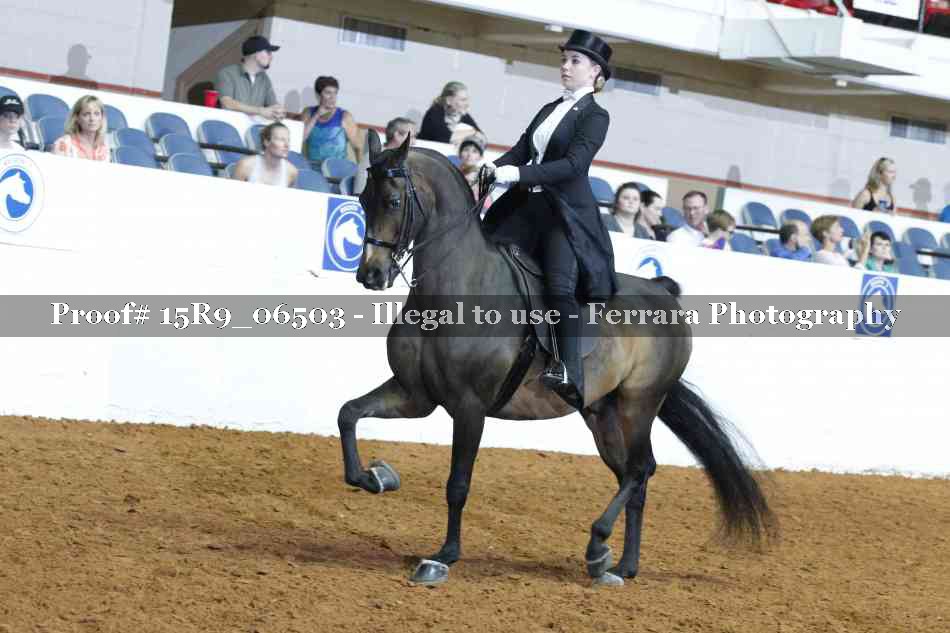 Proof 15R9_06503