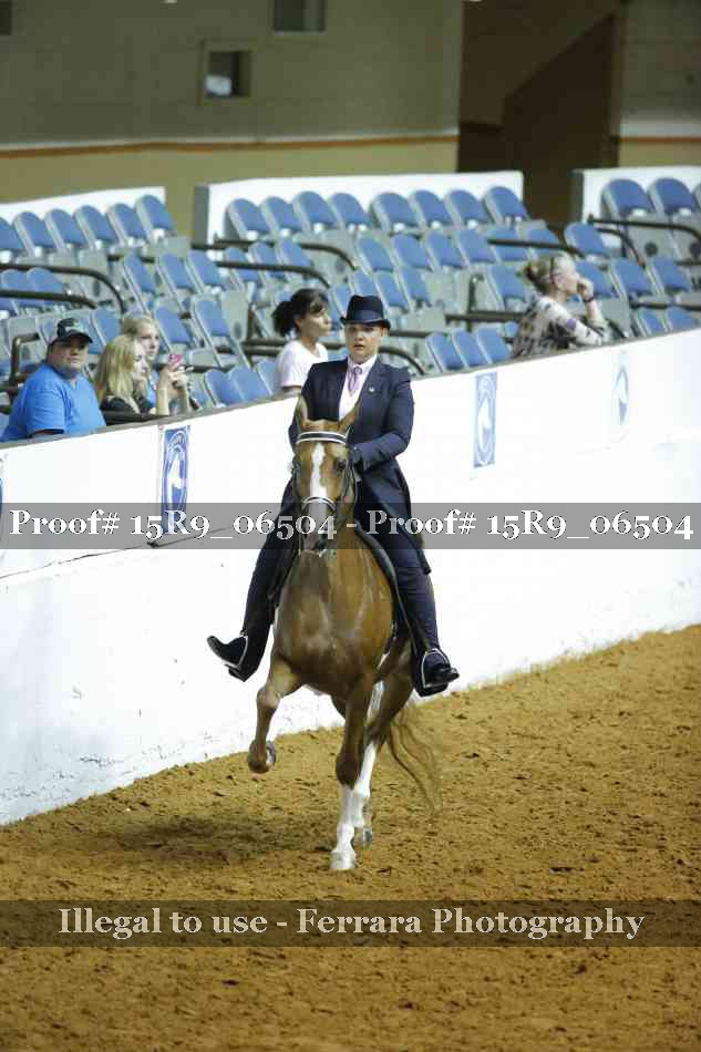 Proof 15R9_06504