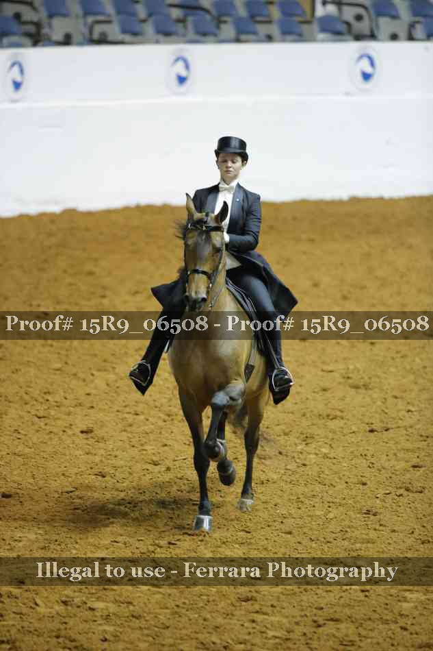 Proof 15R9_06508