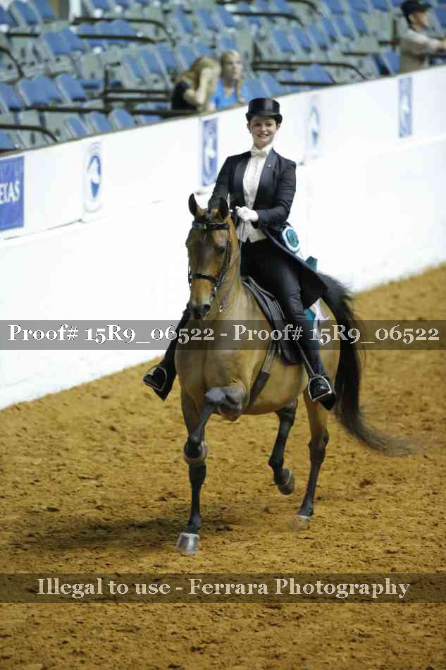 Proof 15R9_06522