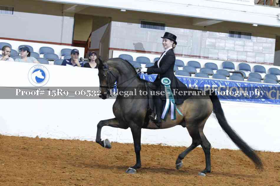Proof 15R9_06532