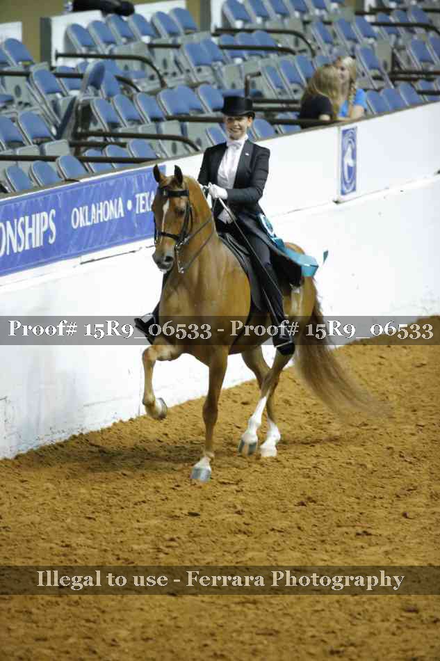 Proof 15R9_06533