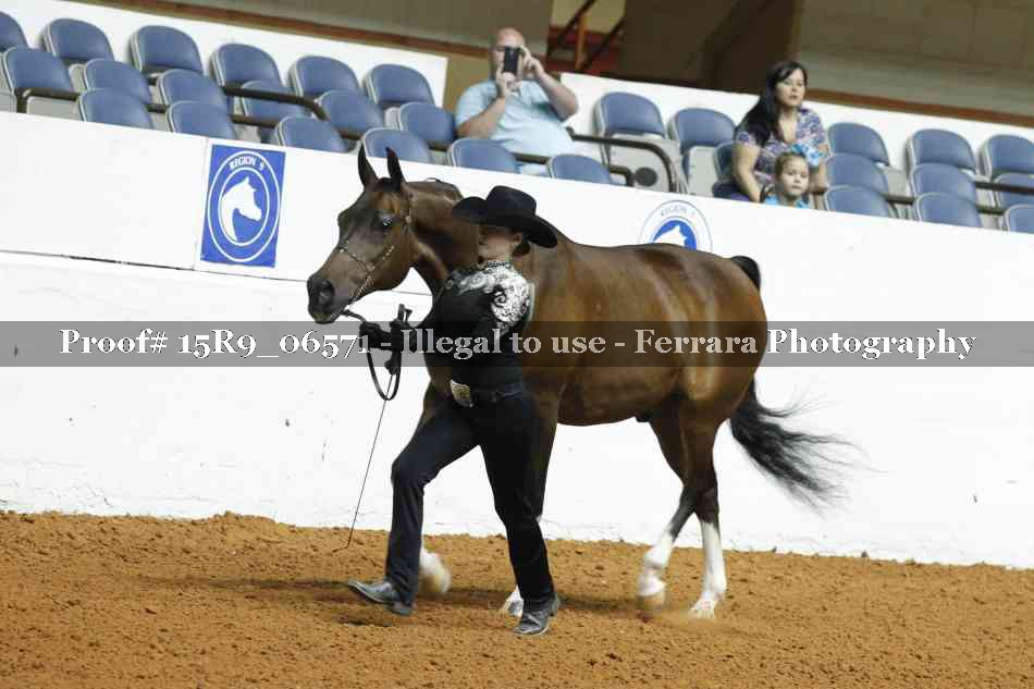 Proof 15R9_06571