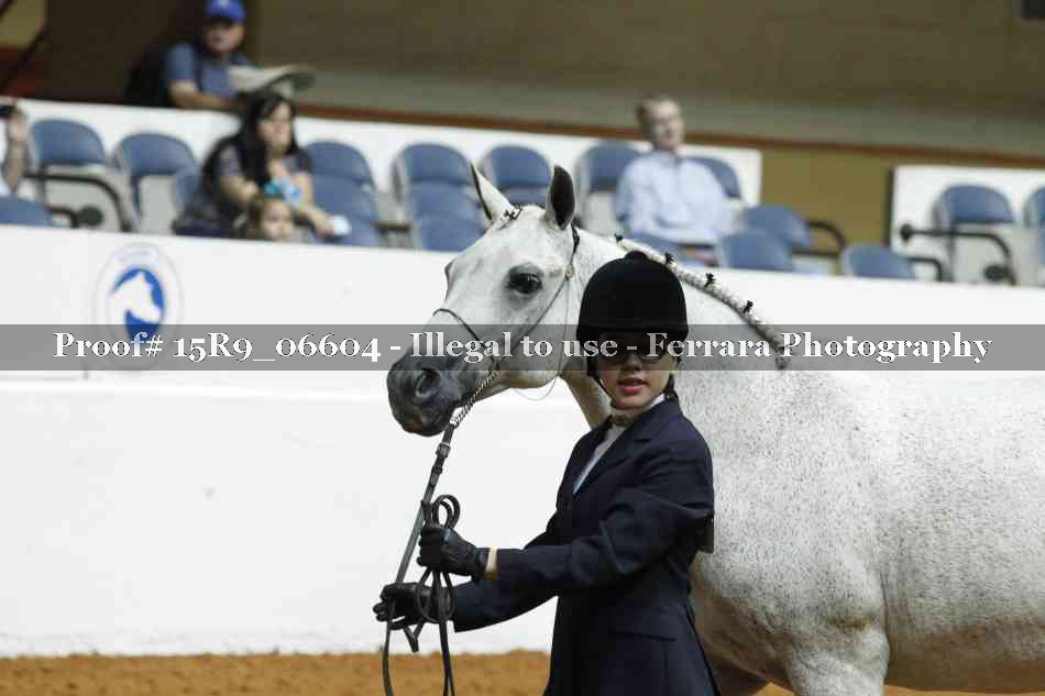 Proof 15R9_06604