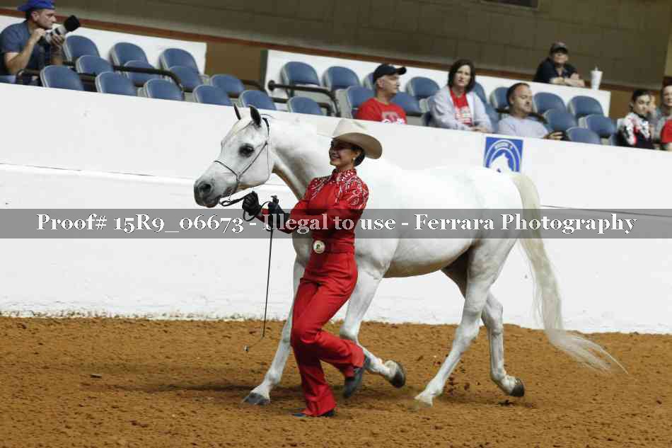 Proof 15R9_06673