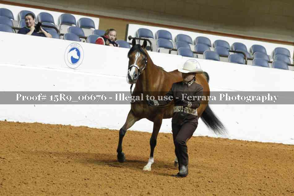 Proof 15R9_06676