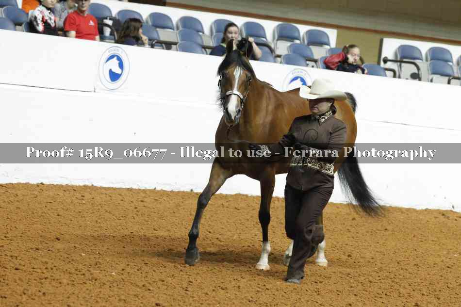 Proof 15R9_06677