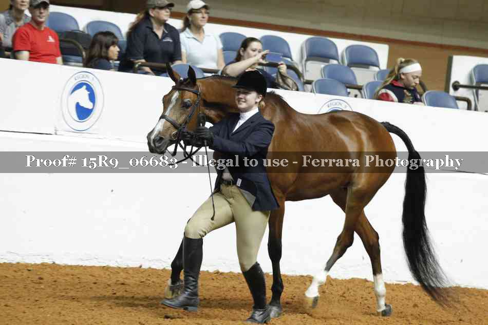 Proof 15R9_06683