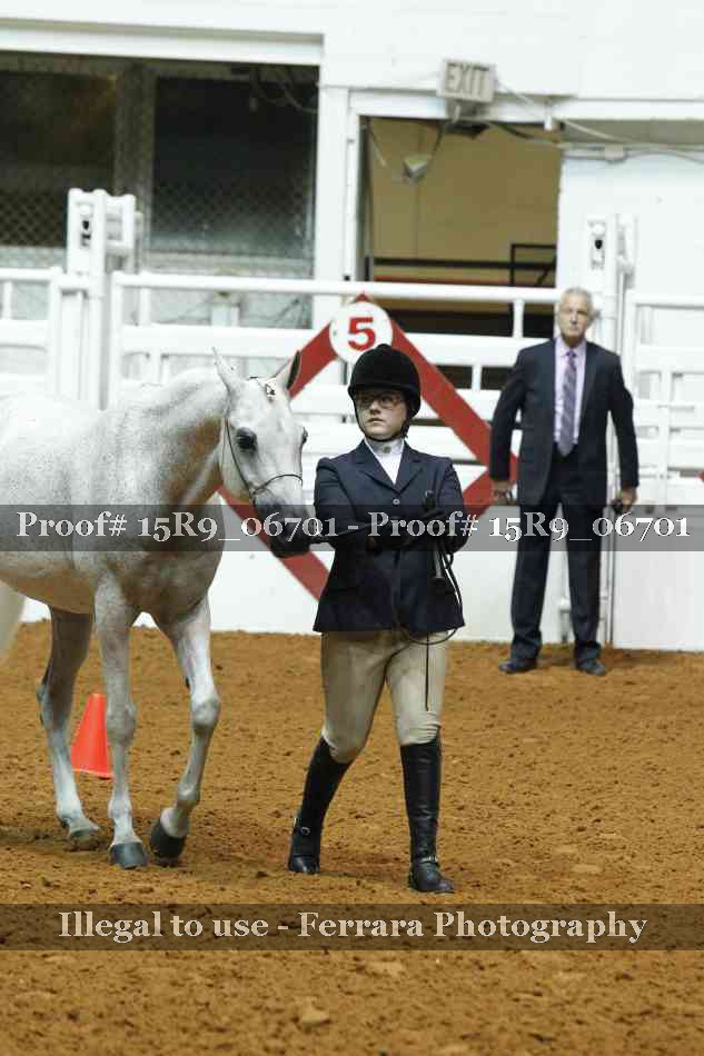 Proof 15R9_06701