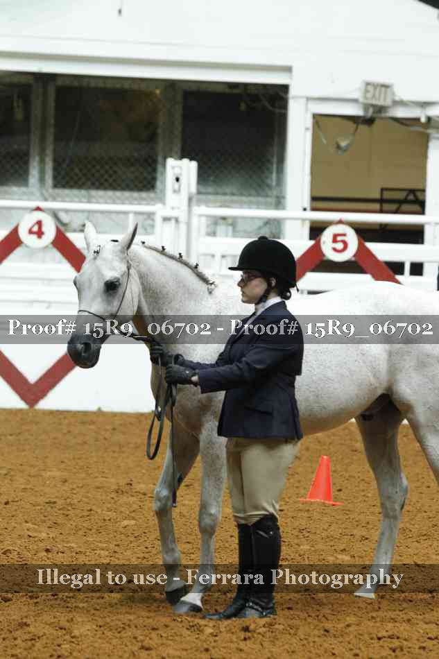 Proof 15R9_06702