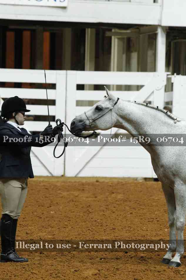 Proof 15R9_06704