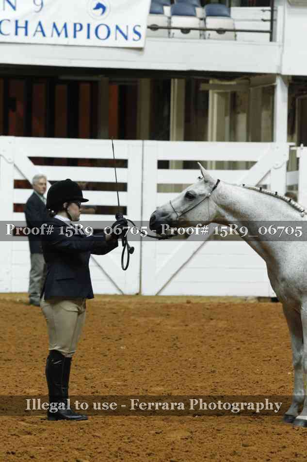 Proof 15R9_06705