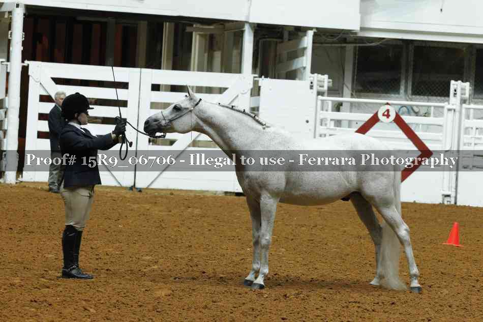 Proof 15R9_06706