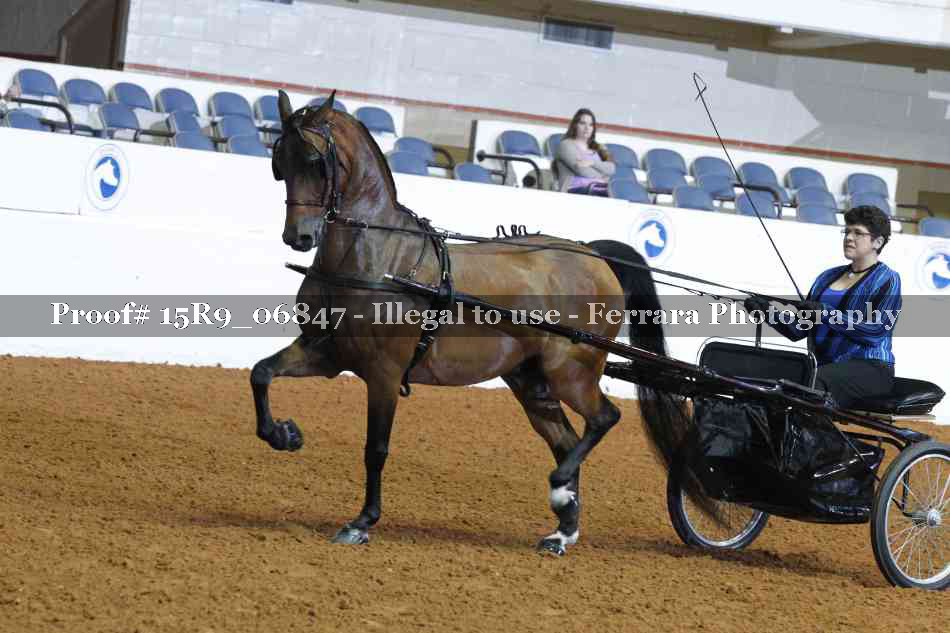 Proof 15R9_06847