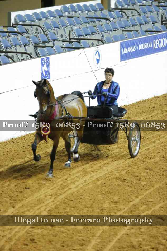 Proof 15R9_06853