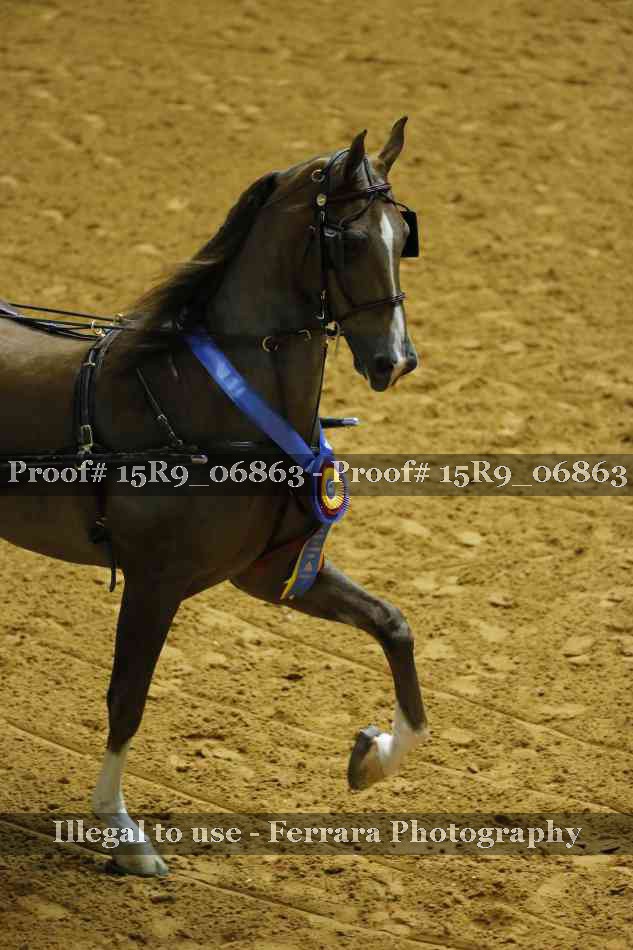 Proof 15R9_06863