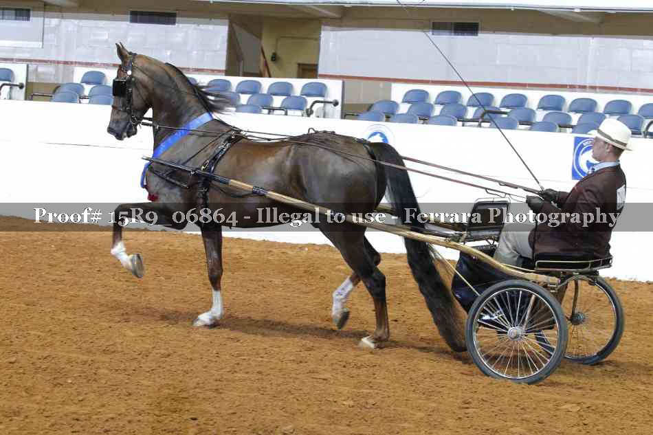 Proof 15R9_06864