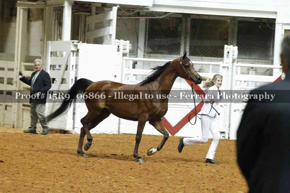 Proof 15R9_06866