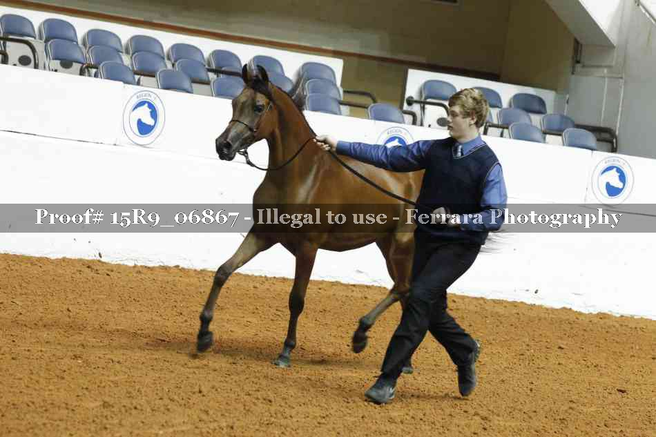 Proof 15R9_06867