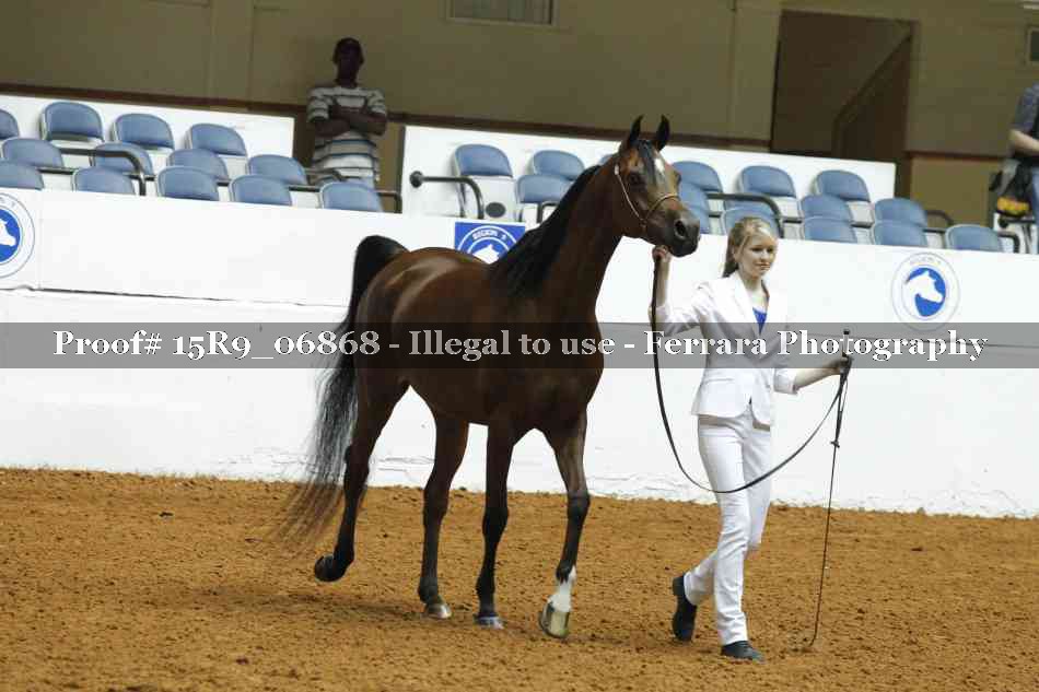 Proof 15R9_06868