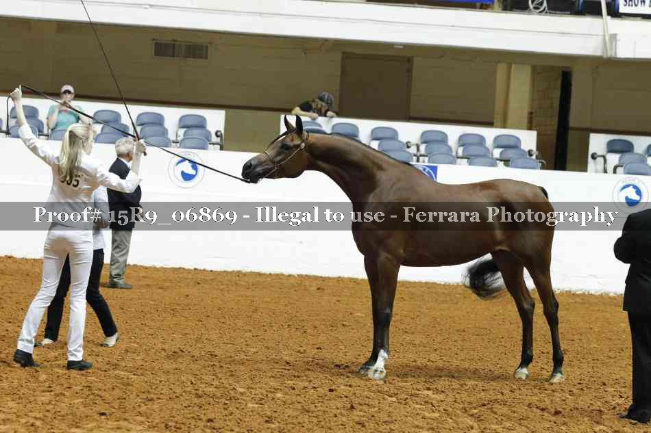 Proof 15R9_06869