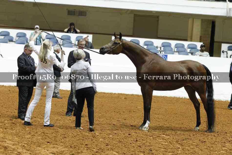 Proof 15R9_06870