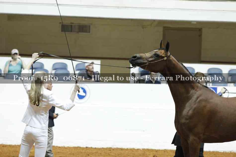 Proof 15R9_06871