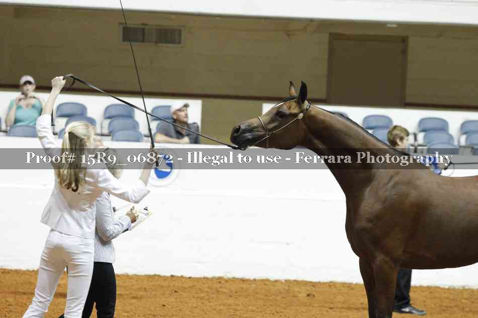 Proof 15R9_06872