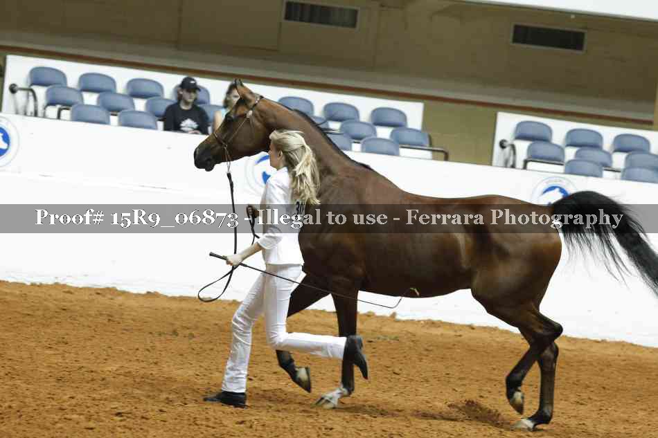 Proof 15R9_06873