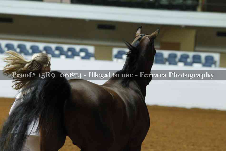Proof 15R9_06874