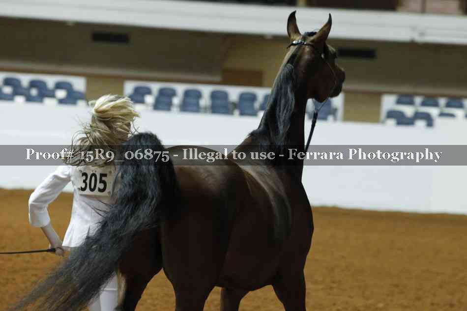 Proof 15R9_06875