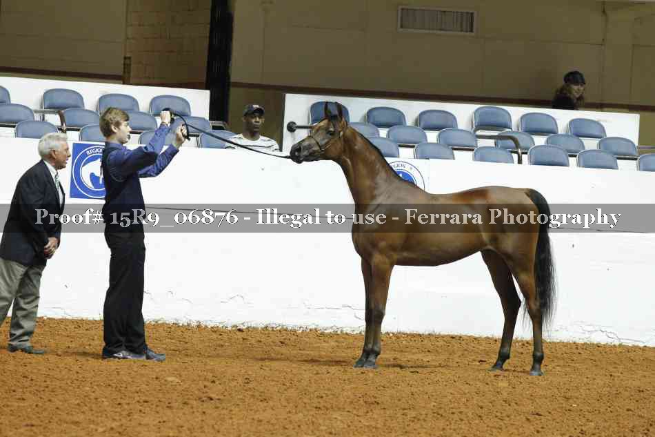 Proof 15R9_06876