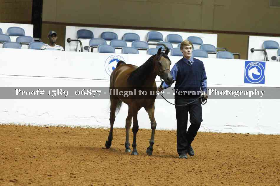 Proof 15R9_06877