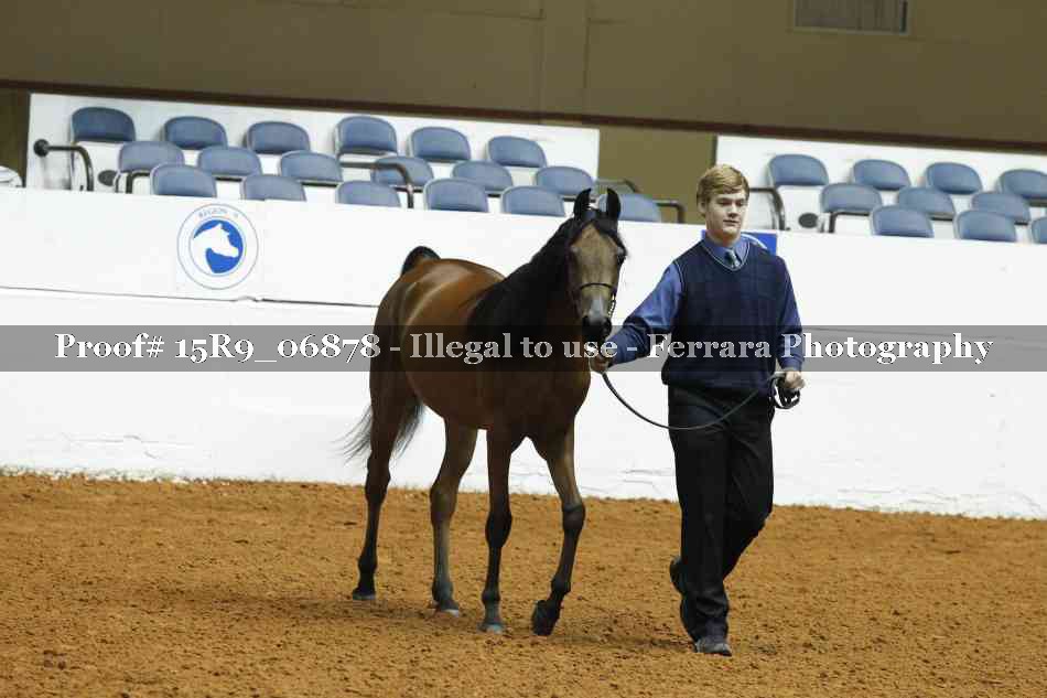 Proof 15R9_06878