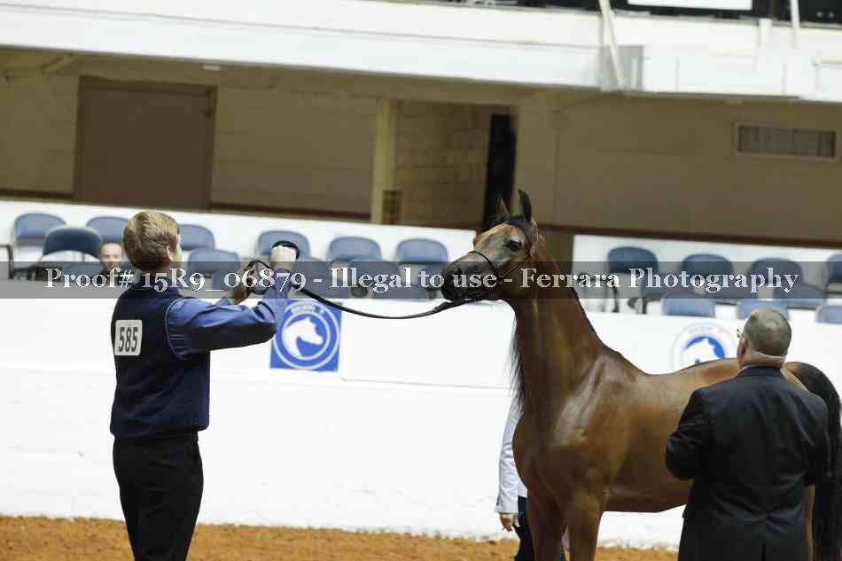 Proof 15R9_06879