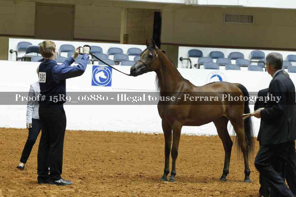 Proof 15R9_06880