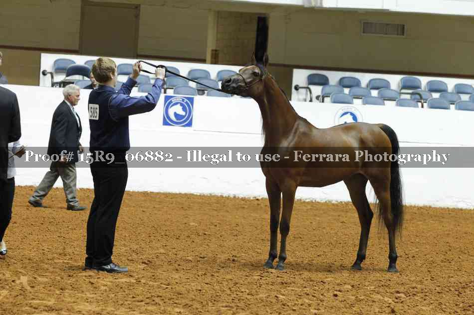 Proof 15R9_06882