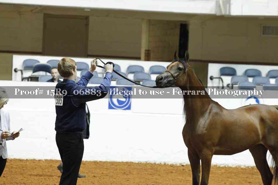 Proof 15R9_06883