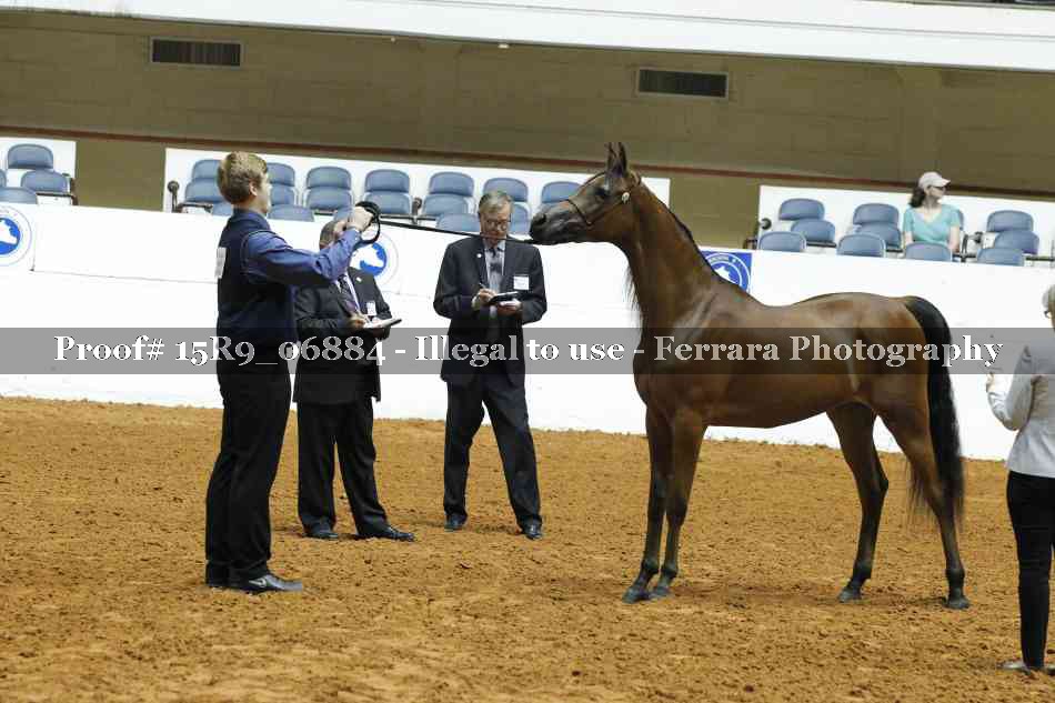 Proof 15R9_06884