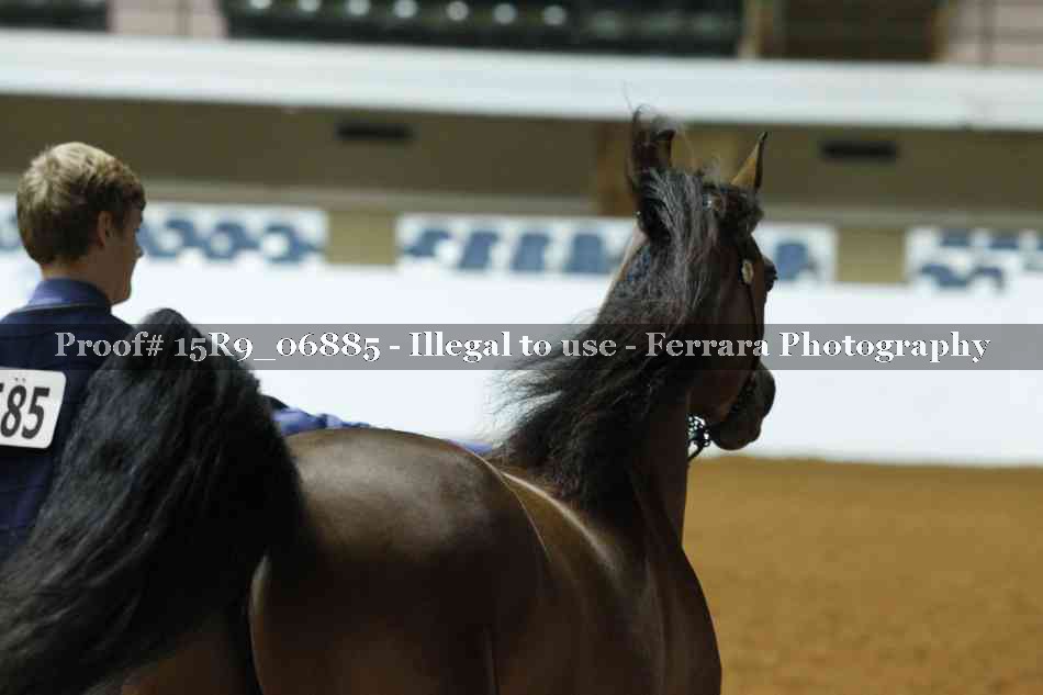 Proof 15R9_06885
