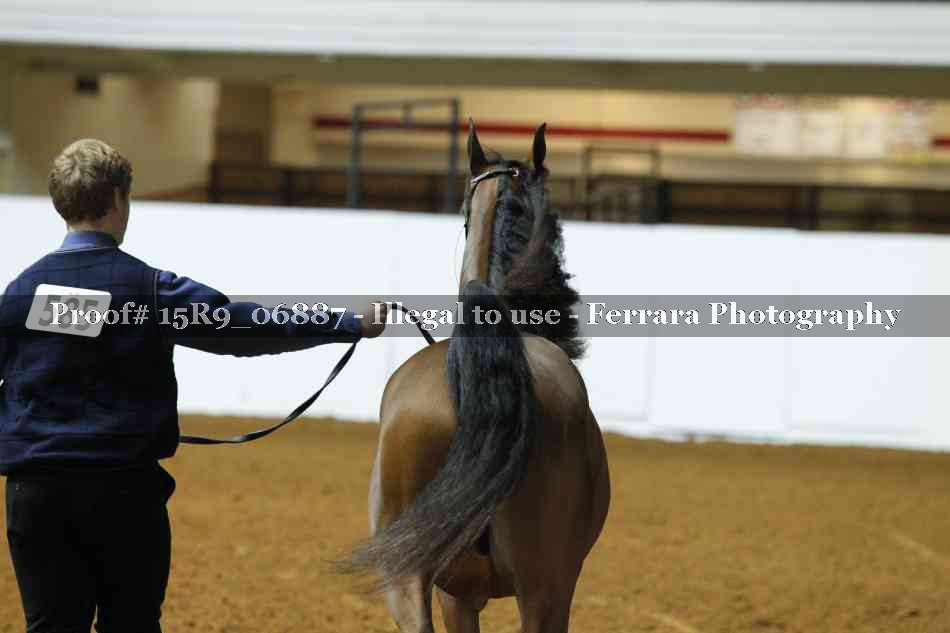 Proof 15R9_06887