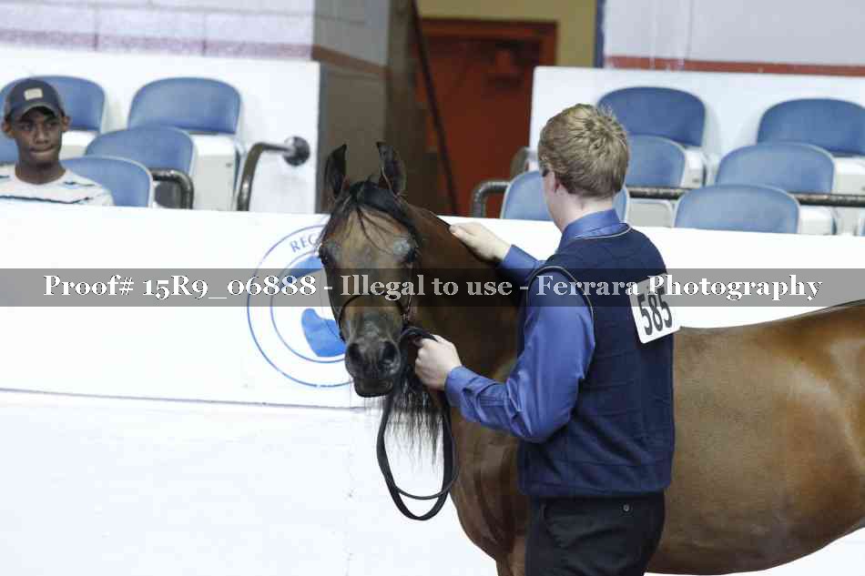 Proof 15R9_06888