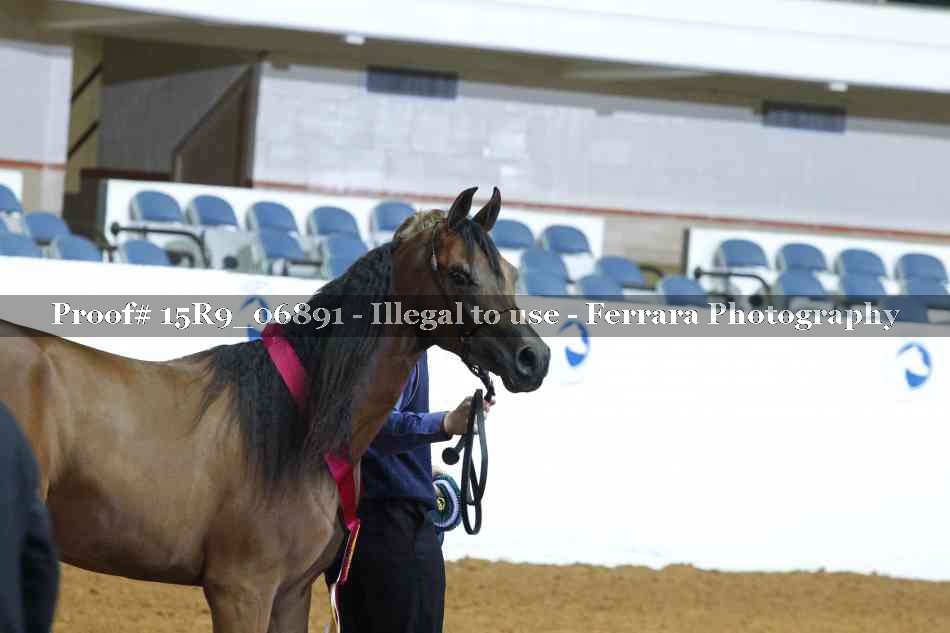 Proof 15R9_06891