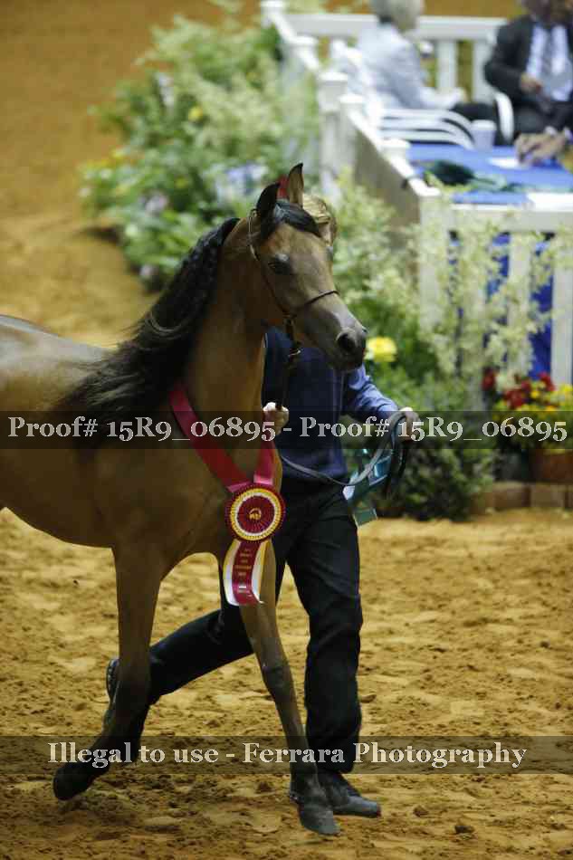 Proof 15R9_06895