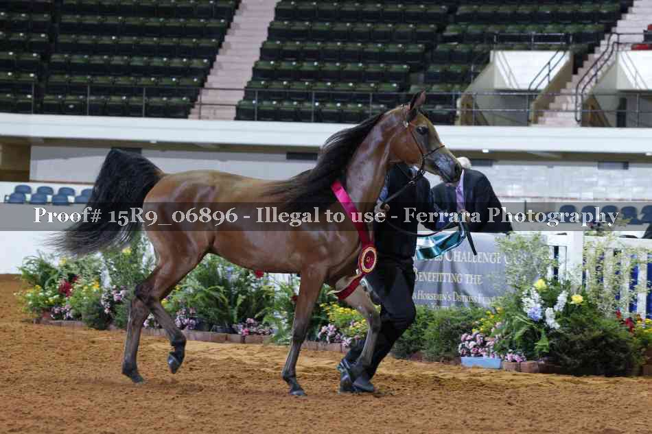 Proof 15R9_06896