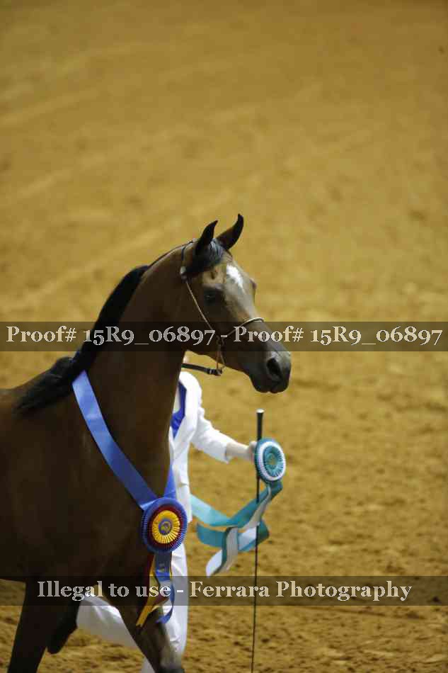 Proof 15R9_06897