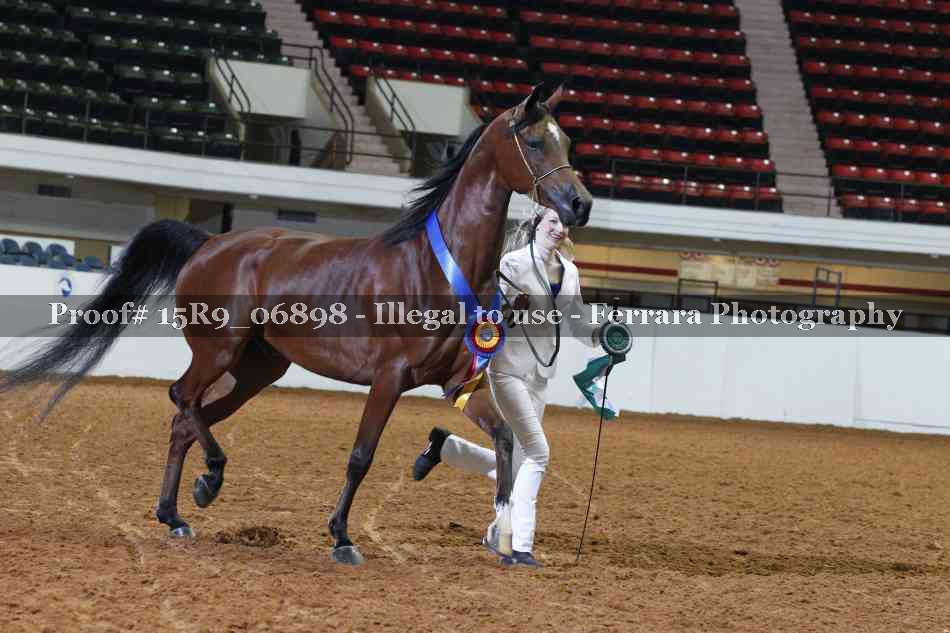 Proof 15R9_06898