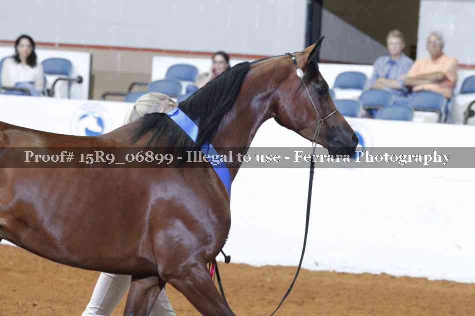 Proof 15R9_06899