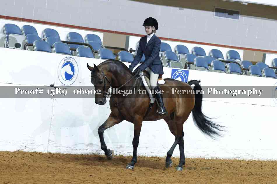 Proof 15R9_06902